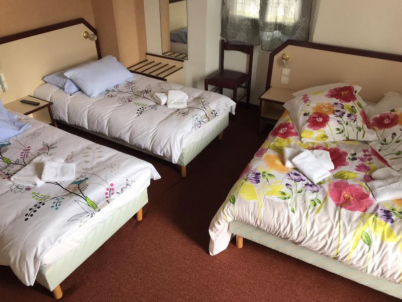 Hotel Myosotis Lourdes Buitenkant foto